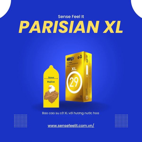 Bao cao su Parisian XL